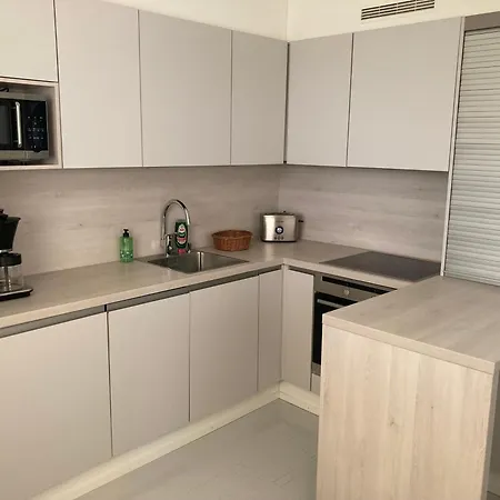 Center 公寓 罗瓦涅米